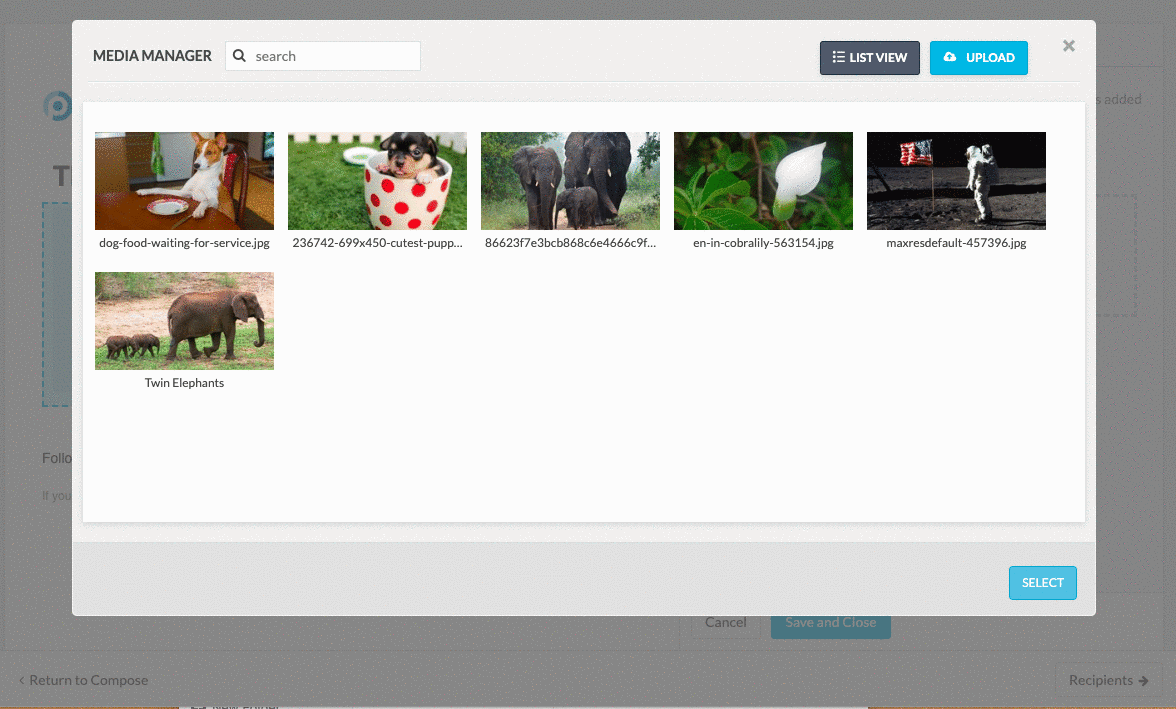 ezgif-1-1edfd85308df.gif
