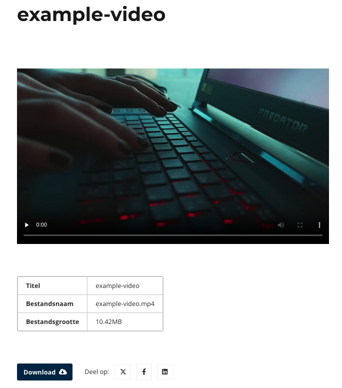 asset-page-example.png