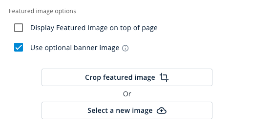 optional-banner-image.png