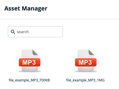 asset-manager-audio.png