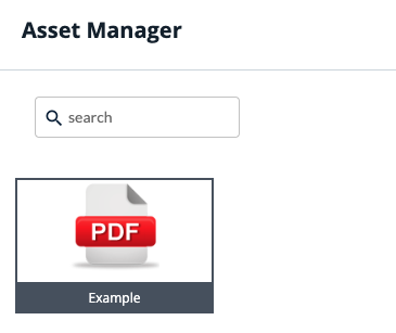 asset-manager-download.png