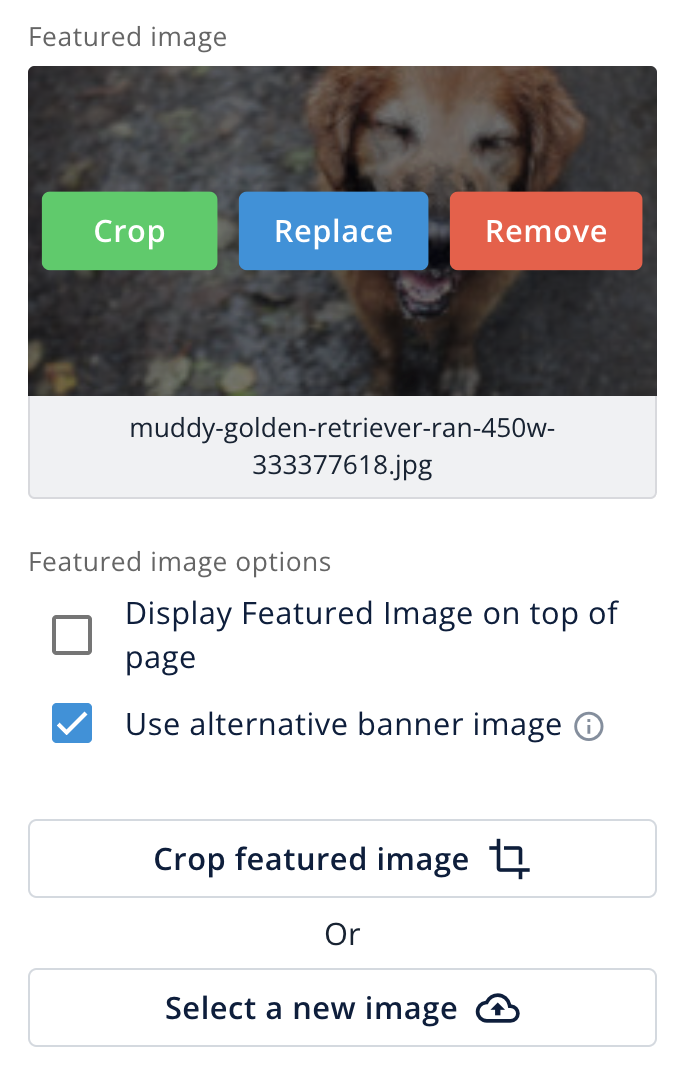 Screenshot 2026-01-12 at 13.08.41.png