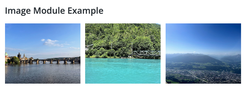 image-module-example.png